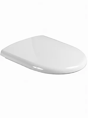 Сиденье с крышкой для унитаза Roca Access ZRU9307772 дюропласт, с микролифтом, белый